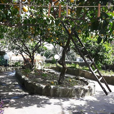 Holiday Apartments Lacco Ameno  Exterior photo