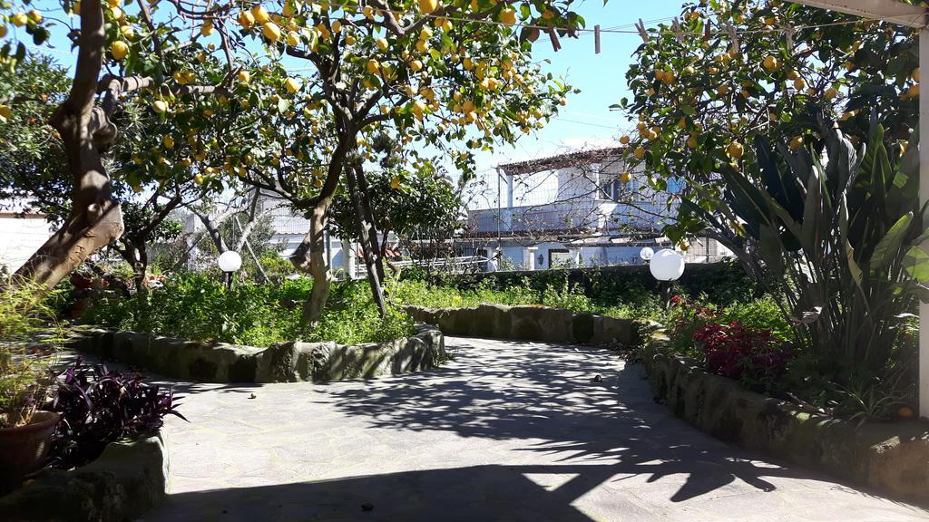 Holiday Apartments Lacco Ameno  Exterior photo