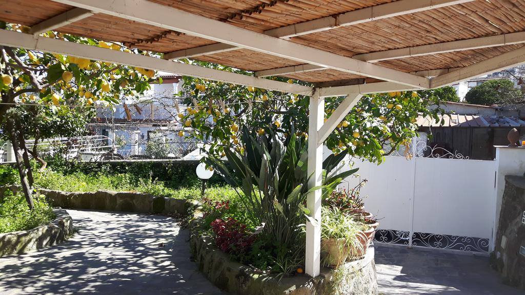 Holiday Apartments Lacco Ameno  Exterior photo